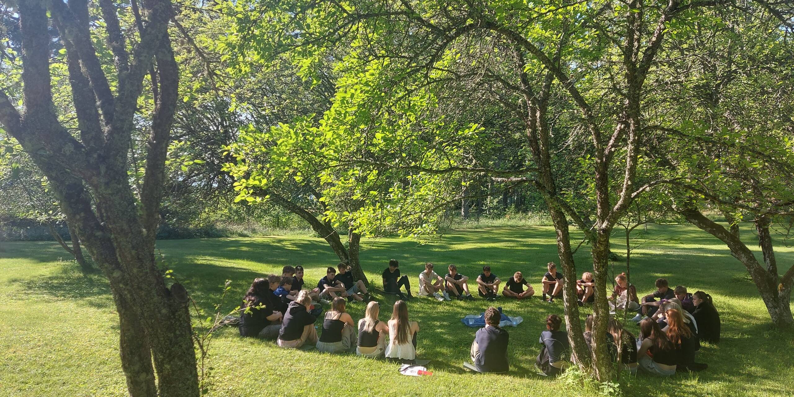 Nuoret keskustelevat ruohikolla
