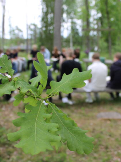 leirijumis metsäkirkossa