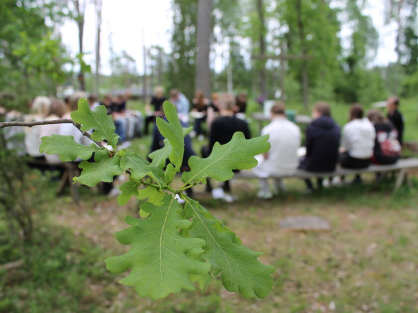 leirijumis metsäkirkossa