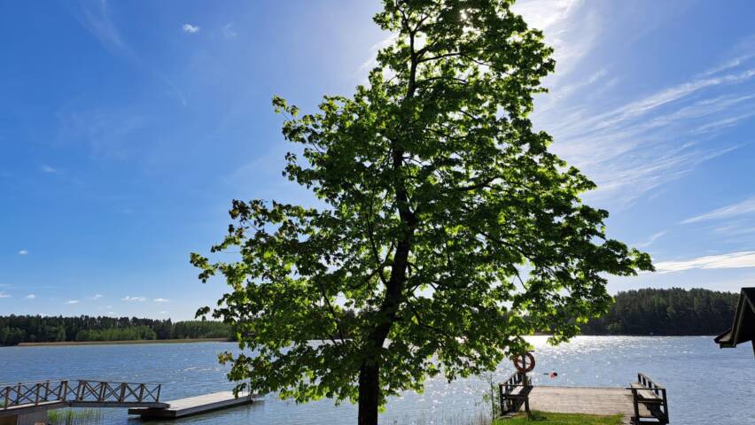 Aurinkoinen rantakuva