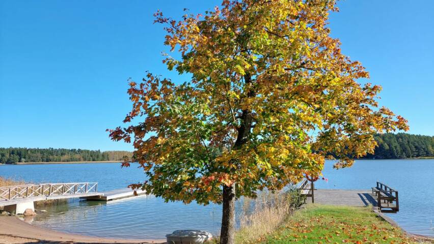 Mannerlahden ranta